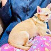 ヒメ日記 2025/06/12 10:00 投稿 やなぎ マーガレット