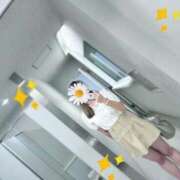 ヒメ日記 2025/10/02 14:41 投稿 やなぎ マーガレット