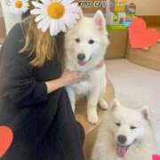 ヒメ日記 2025/10/23 16:21 投稿 やなぎ マーガレット