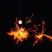 ヒメ日記 2025/11/08 17:02 投稿 やなぎ マーガレット