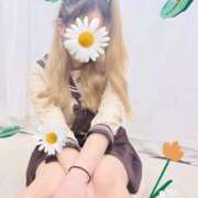 ヒメ日記 2026/03/07 11:52 投稿 やなぎ マーガレット