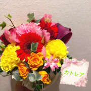 カトレア 3月ありがとう💚 飾窓