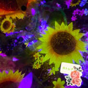 カトレア 4月ありがとう💚 飾窓