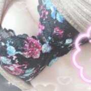 ヒメ日記 2025/10/18 21:02 投稿 みすず 柏人妻花壇