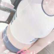 ヒメ日記 2026/04/12 12:57 投稿 みすず 柏人妻花壇