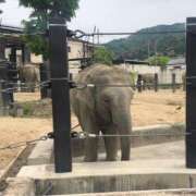 ヒメ日記 2025/10/12 22:50 投稿 持田　さつき NADIA京都店