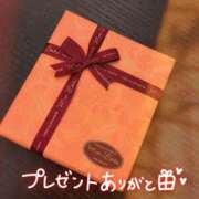 ヒメ日記 2025/04/20 16:22 投稿 2025年、風神へ感謝を込めて。 GOOD-グッド-