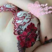 ヒメ日記 2025/09/04 12:48 投稿 るり※AF大好き変態巨乳美女 即イキ淫乱倶楽部 柏店