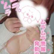 ヒメ日記 2025/03/27 00:32 投稿 るり※AF大好き変態巨乳美女 即イキ淫乱倶楽部 松戸店