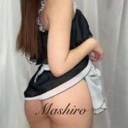 ヒメ日記 2026/02/19 16:15 投稿 ましろ Remote Spa Premium(リモートスパプレミアム)