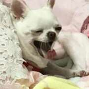 ヒメ日記 2025/02/13 03:24 投稿 ふうか奥様 デザイア日本橋