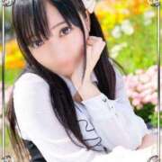 ヒメ日記 2025/04/29 14:53 投稿 ふうか奥様 デザイア日本橋