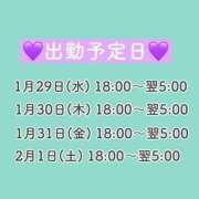 ヒメ日記 2025/01/28 12:24 投稿 ひばり 奥様特急　上野・鶯谷店