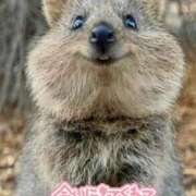 ヒメ日記 2025/02/08 07:44 投稿 ひばり 奥様特急　上野・鶯谷店