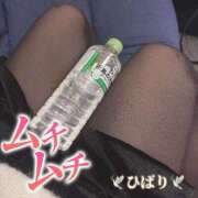 ヒメ日記 2025/02/15 14:24 投稿 ひばり 奥様特急　上野・鶯谷店