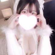 ヒメ日記 2025/01/15 19:19 投稿 ことり G-STAGE（京都グループ）