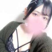 ヒメ日記 2025/01/31 19:23 投稿 ことり G-STAGE（京都グループ）