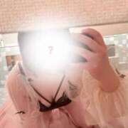 ヒメ日記 2025/02/09 02:29 投稿 ことり G-STAGE（京都グループ）