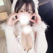 ヒメ日記 2025/02/10 22:47 投稿 ことり G-STAGE（京都グループ）