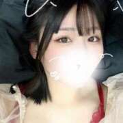 ヒメ日記 2025/03/29 12:19 投稿 ことり G-STAGE