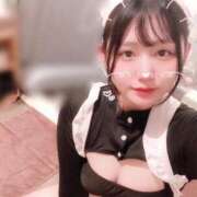 ヒメ日記 2025/04/02 12:31 投稿 ことり G-STAGE