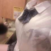 ヒメ日記 2025/04/04 18:26 投稿 ことり G-STAGE