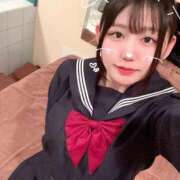 ヒメ日記 2025/04/06 09:59 投稿 ことり G-STAGE