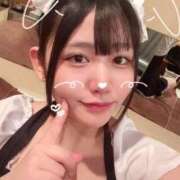 ヒメ日記 2025/04/06 16:09 投稿 ことり G-STAGE