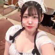 ヒメ日記 2025/04/07 10:37 投稿 ことり G-STAGE