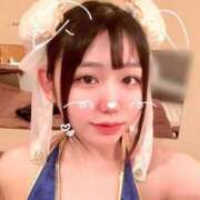 ヒメ日記 2025/04/09 16:06 投稿 ことり G-STAGE