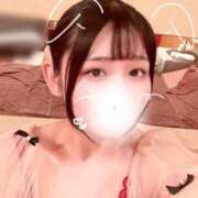 ヒメ日記 2025/04/11 00:39 投稿 ことり G-STAGE