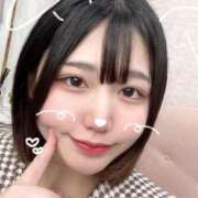 ヒメ日記 2025/04/14 17:34 投稿 ことり G-STAGE