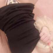 ヒメ日記 2025/04/19 23:34 投稿 ことり G-STAGE