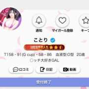 ヒメ日記 2025/04/20 21:29 投稿 ことり G-STAGE