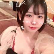 ヒメ日記 2025/04/23 09:21 投稿 ことり G-STAGE