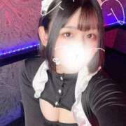 ヒメ日記 2025/04/26 05:09 投稿 ことり G-STAGE