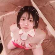 ヒメ日記 2025/04/29 18:59 投稿 ことり G-STAGE