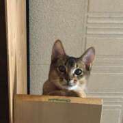 ヒメ日記 2025/05/02 00:07 投稿 ことり G-STAGE