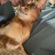 ヒメ日記 2025/05/07 21:51 投稿 ことり G-STAGE