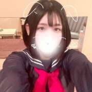 ヒメ日記 2025/05/17 15:57 投稿 ことり G-STAGE