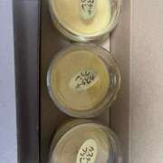 ヒメ日記 2025/05/26 20:51 投稿 ことり G-STAGE