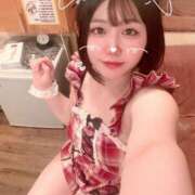 ヒメ日記 2025/06/14 06:49 投稿 ことり G-STAGE