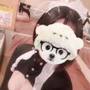 ヒメ日記 2025/06/21 18:00 投稿 ことり G-STAGE