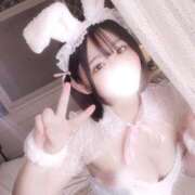 ヒメ日記 2025/07/06 05:49 投稿 ことり G-STAGE