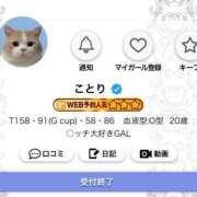 ヒメ日記 2025/07/18 06:04 投稿 ことり G-STAGE（京都グループ）