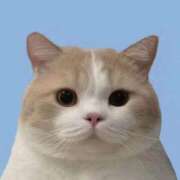 ヒメ日記 2025/07/20 10:39 投稿 ことり G-STAGE