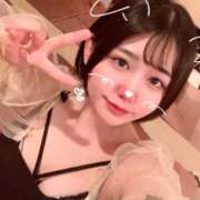 ヒメ日記 2025/07/23 12:09 投稿 ことり G-STAGE
