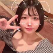 ヒメ日記 2025/07/28 09:25 投稿 ことり G-STAGE