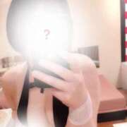 ヒメ日記 2025/07/30 08:59 投稿 ことり G-STAGE