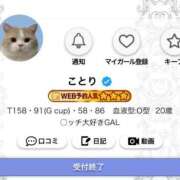 ヒメ日記 2025/08/08 17:19 投稿 ことり G-STAGE